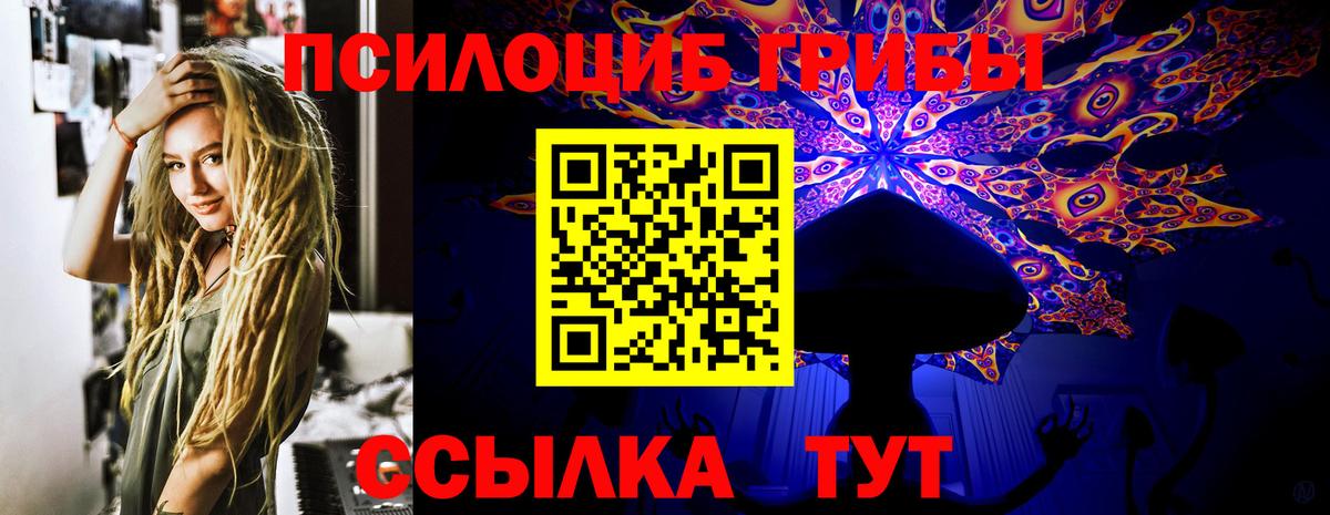 где продают наркотики  Вход с VPN  Благовещенск  Галлюциногенные грибы Psilocybe 