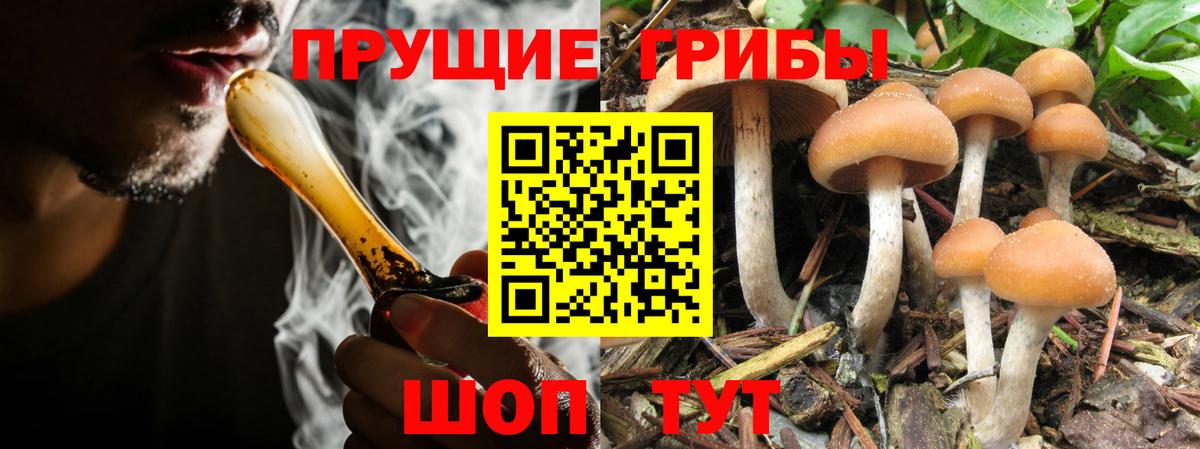 Галлюциногенные грибы MAGIC MUSHROOMS Благовещенск